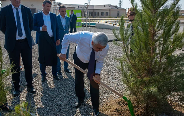 Rövnəq Abdullayev ağac əkdi - Fotolar