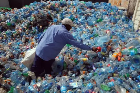 Yapon alimləri plastik qablarla mübarizə üsulunu belə tapdılar