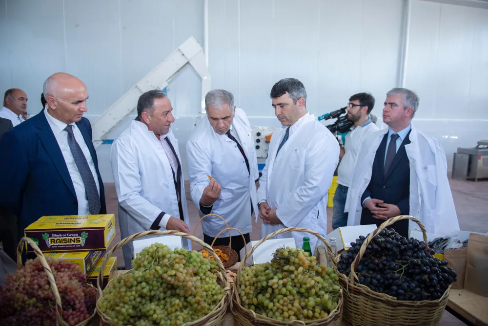 Kənd Təsərrüfatı Nazirliyinin dəstəklədiyi ilk aqrobiznes dəyər zənciri layihəsi - fəaliyyətə başladı