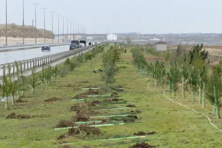 BMTİP, SOCAR, BP iqlim dəyişikliyi ilə mübarizə aparmaq üçün kampaniyaya - başladı- Azərbaycanda