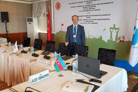 Əflatun Amaşov QDİƏT PM-in komitəsinin iclasında - ÇIXIŞ ETDİ