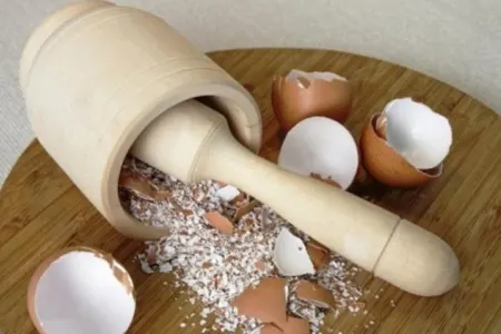 Bir yaşından uşaqlara - üyüdülmüş yumurta qabığı verilməlidir
