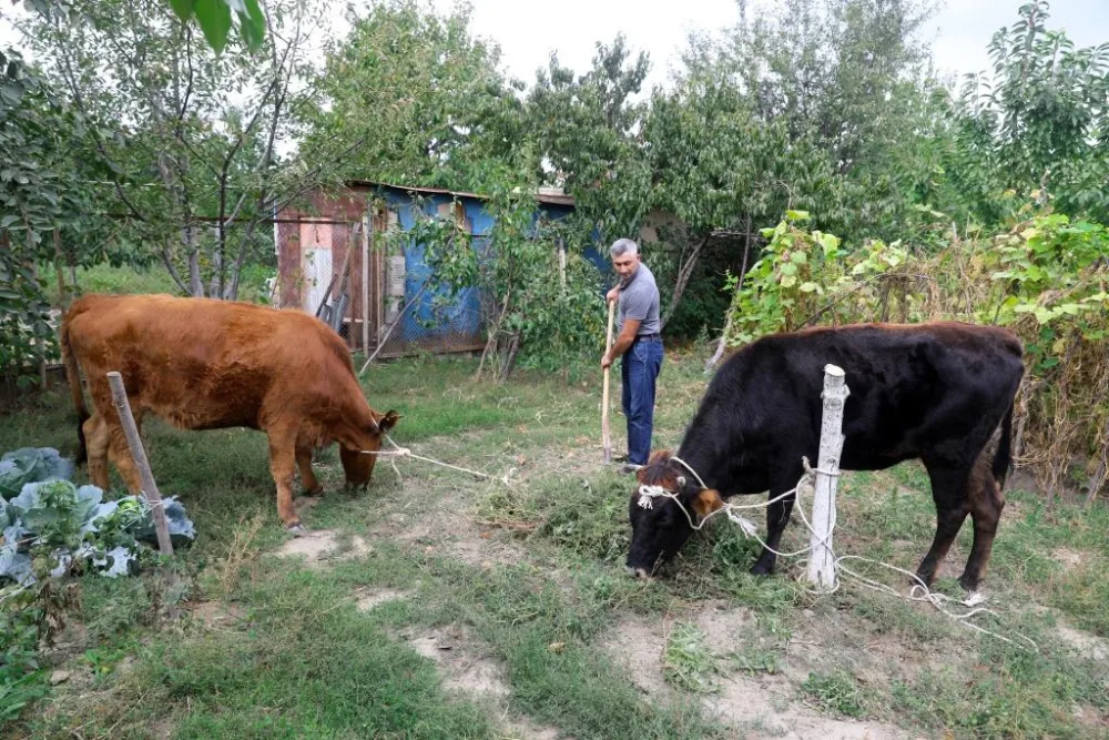 Sahil Babayev - QUBADA - FOTO