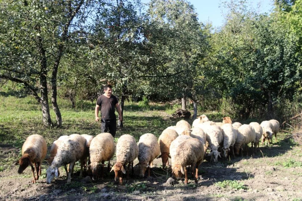 Sahil Babayev - QUBADA - FOTO