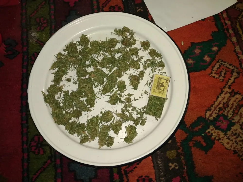 Ağdaş sakinindən tiryək, heroin və marixuana aşkarlandı