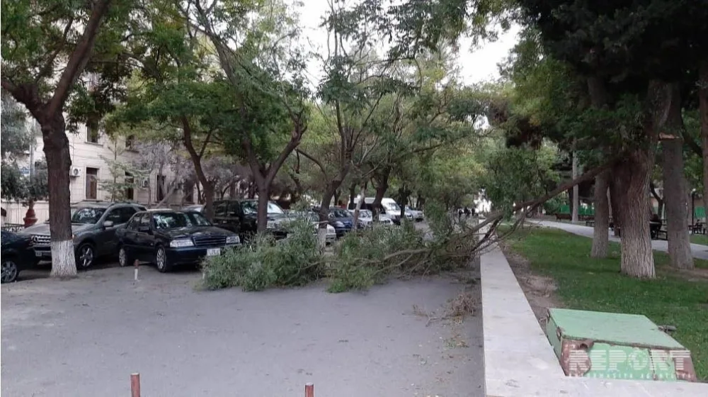 Bakıda qorxulu anlar - FOTO