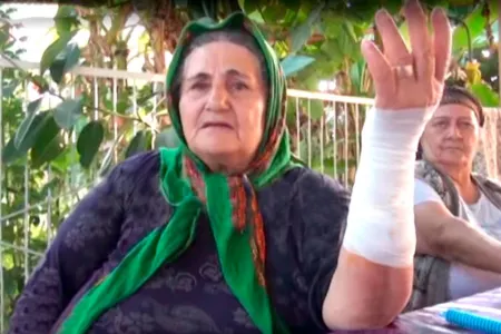 Azərbaycanda qadın ona hücum edən - çaqqalı boğaraq öldürdü — VİDEO