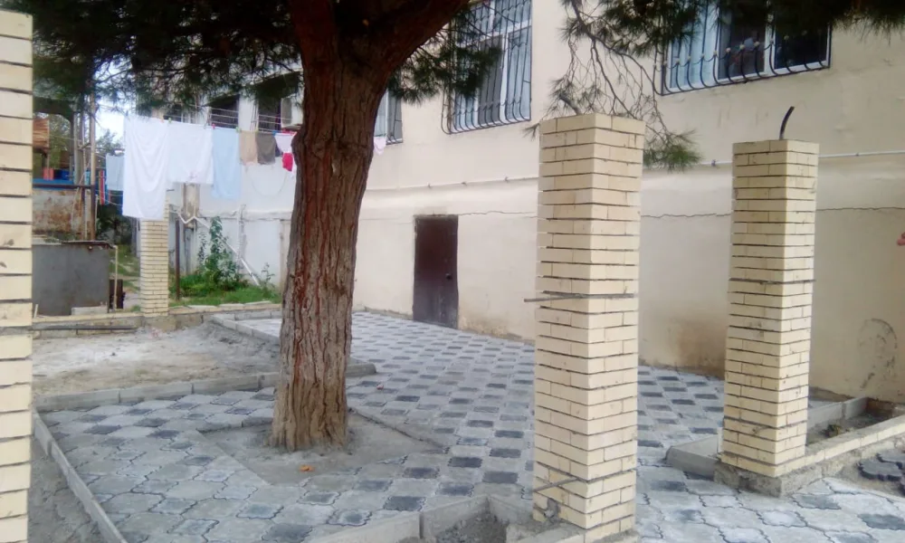 Bakıda ağacın dibini betonlayan şəxs - CƏZALANDI - FOTO