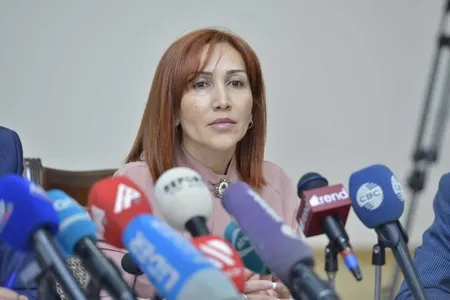 "Təbiəti özümüz bu günə qoyuruq" - Nazirlik rəsmisi