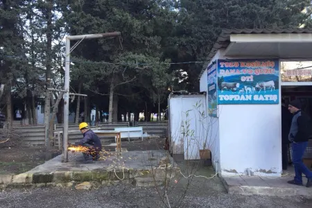 Qanunsuz kəsim məntəqələri ləğv olundu- - AQTA