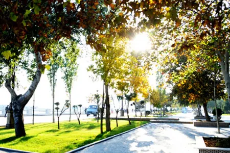 Sabah 25 dərəcə - İSTİ OLACAQ