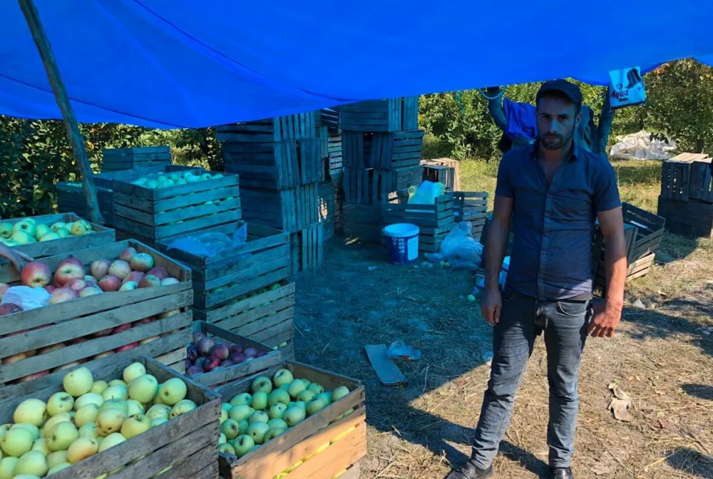 QUBADA ALMA OĞRULARI TUTULDU