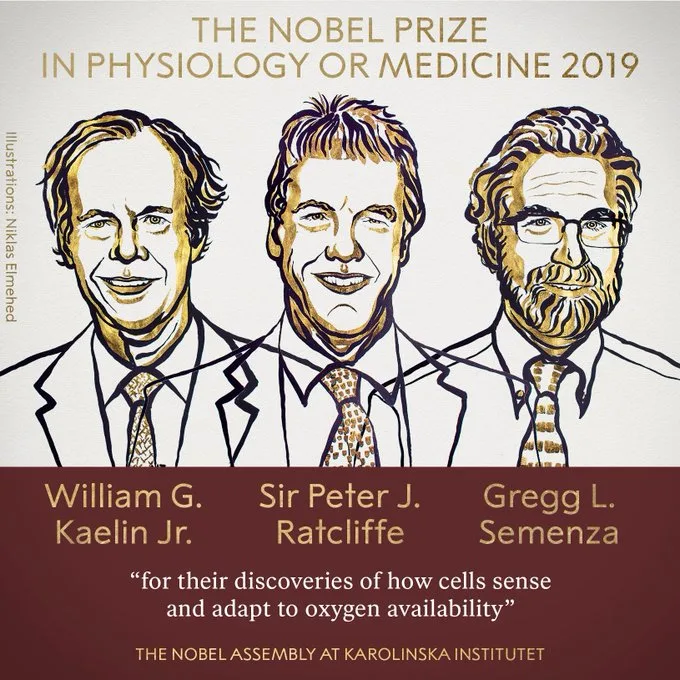 "Nobel" mükafatları öz sahiblərini - TAPDI - FOTO - CANLI YAYIM