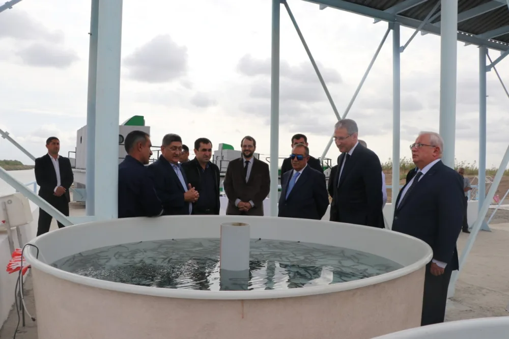 30 minədək körpə balıq Kür çayına - BURAXILACAQ - ETSN - FOTO