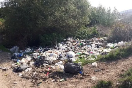 Çuxuryurd gölü ekoloji fəlakətin astanasında - FOTO-VİDEO