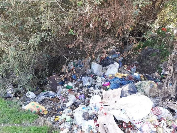 Çuxuryurd gölü ekoloji fəlakətin astanasında - FOTO-VİDEO