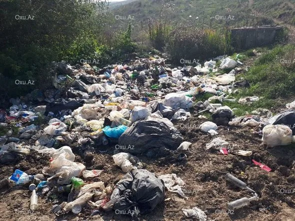 Çuxuryurd gölü ekoloji fəlakətin astanasında - FOTO-VİDEO