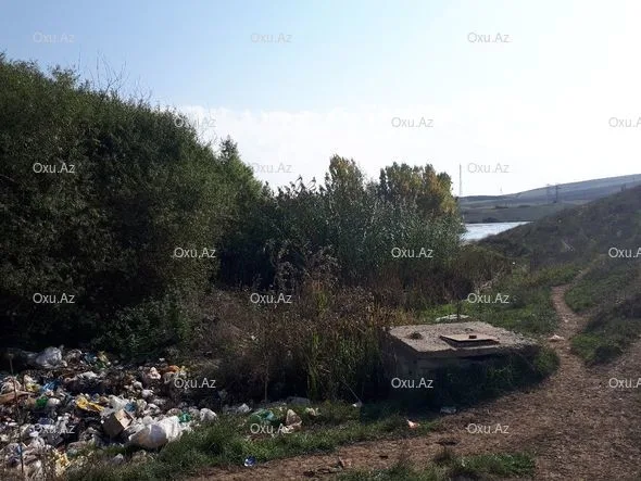 Çuxuryurd gölü ekoloji fəlakətin astanasında - FOTO-VİDEO