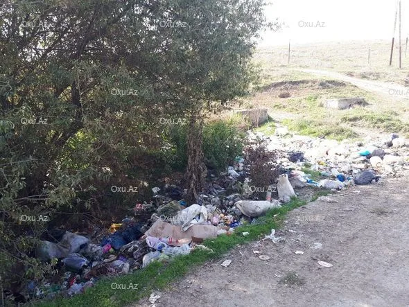 Çuxuryurd gölü ekoloji fəlakətin astanasında - FOTO-VİDEO