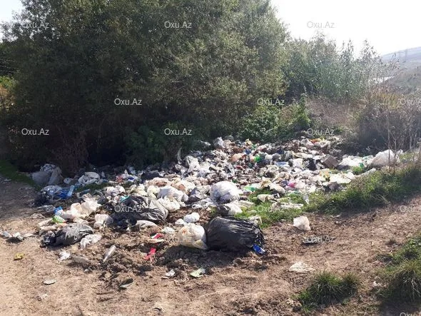 Çuxuryurd gölü ekoloji fəlakətin astanasında - FOTO-VİDEO