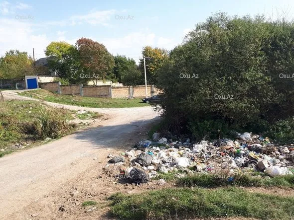 Çuxuryurd gölü ekoloji fəlakətin astanasında - FOTO-VİDEO