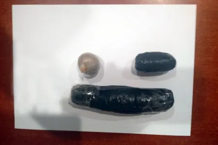 Ölkəyə alt paltarında narkotik - KEÇİRMƏK İSTƏDİ - FOTO
