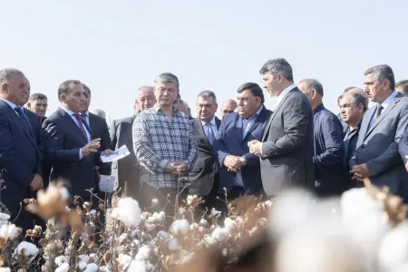 Kənd Təsərrüfatı naziri - PAMBIQ YIĞDI - FOTO