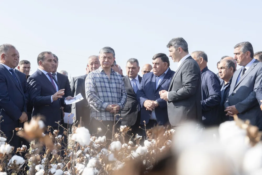 Kənd Təsərrüfatı naziri - PAMBIQ YIĞDI - FOTO