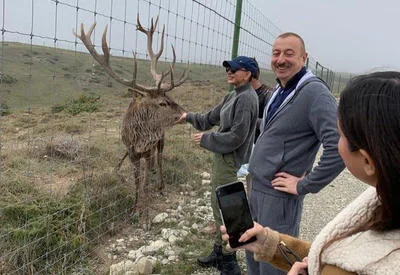 Prezident İlham Əliyev ailə üzvləri ilə birlikdə istirahətdə - -FOTOLAR
