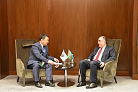 Elmar Məmmədyarov Türk Akademiyasının Prezidenti ilə - GÖRÜŞDÜ