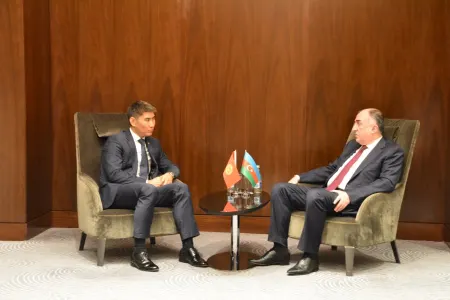 Elmar Məmmədyarov qırğızıstanlı həmkarı ilə görüşdü