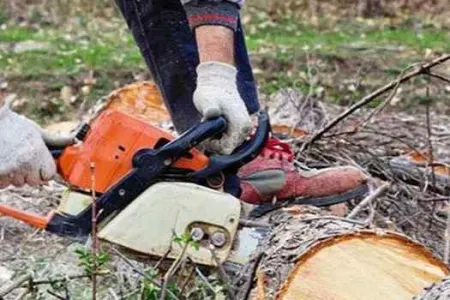 Tikinti şirkəti 35 min manat cərimə edildi- - SƏBƏB