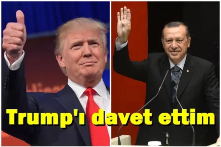 Tramp Türkiyəyə gedir
