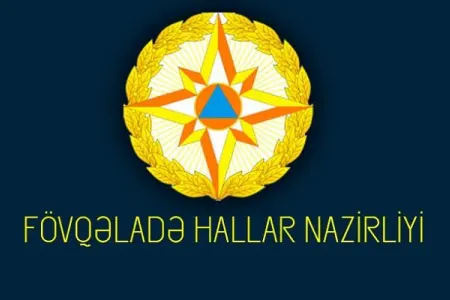 FHN bu il 203 binaya...