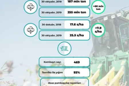 Azərbaycanda daha bir REKORD