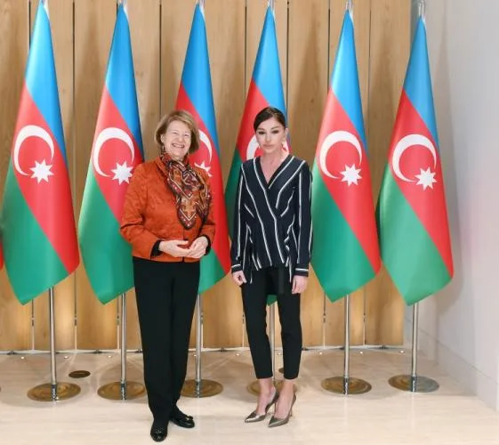 Birinci vitse-prezident Baronessa Emma Nikolson ilə görüşüb
