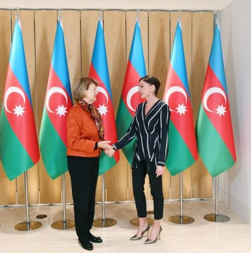 Birinci vitse-prezident Baronessa Emma Nikolson ilə görüşüb