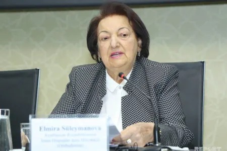 “Cənab Prezidentin qərarını gözləyirəm" - Ombudsman Elmira Süleymanova