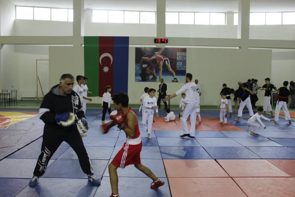 Şəkidə idman festivalı keçirildi - FOTO