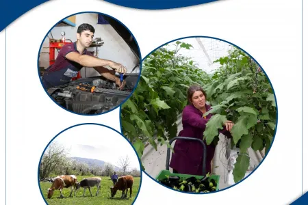 Bu il 8309 nəfər özünəməşğulluq proqramına - CƏLB EDİLİB