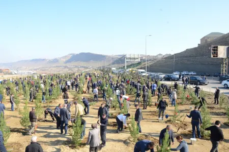 Bayraq günündə min ağac - əkildi