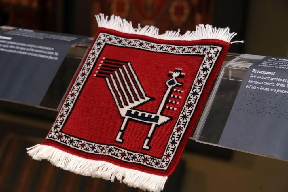 “Sərhədsiz muzey” - FOTOLAR