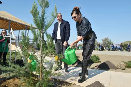 "Zeytun və şam ağacları əkilsin" - Prezident “Gənclik” parkı ilə bağlı tapşırıq verdi