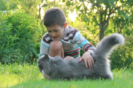 Bakıda DƏHŞƏT: pişiklə oynayan UŞAQ ÖLDÜ