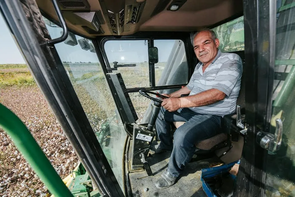 Bu il 281.506 ton pambıq - TƏHVİL VERİLİB