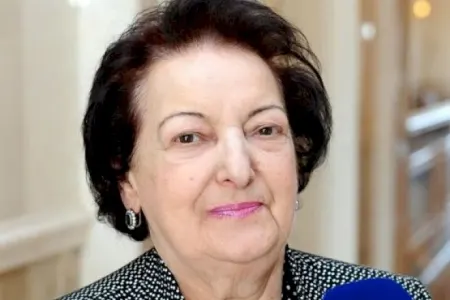 Elmira Süleymanova istefa ərizəsi yazıb? - RƏSMİ AÇIQLAMA