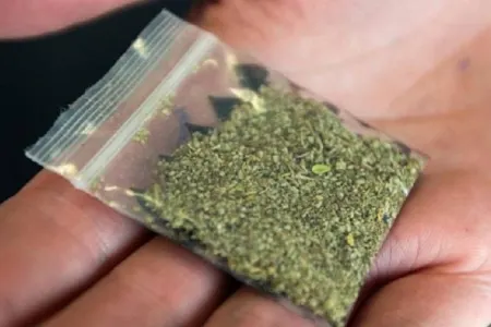 Zərdabda 5 kiloqramdan artıq marixuana dövriyyədən çıxarılıb