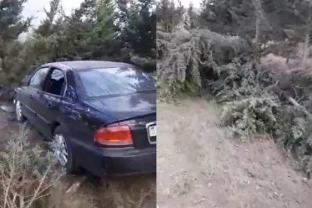 Xanım sürücü qəzada 20 ağacı qopardı