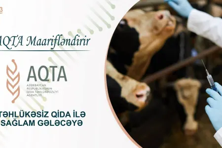 Qida məhsullarında antibiotik təhlükəsi - MƏQALƏ