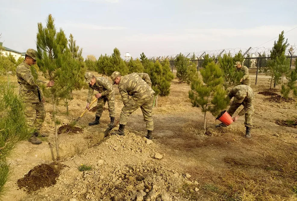 Azərbaycan Ordusunda ağacəkmə aksiyası keçirilir - FOTO